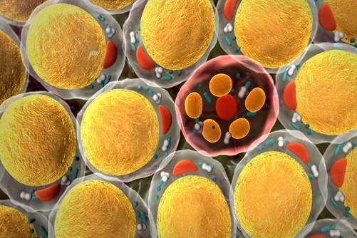 Malattie autoimmuni