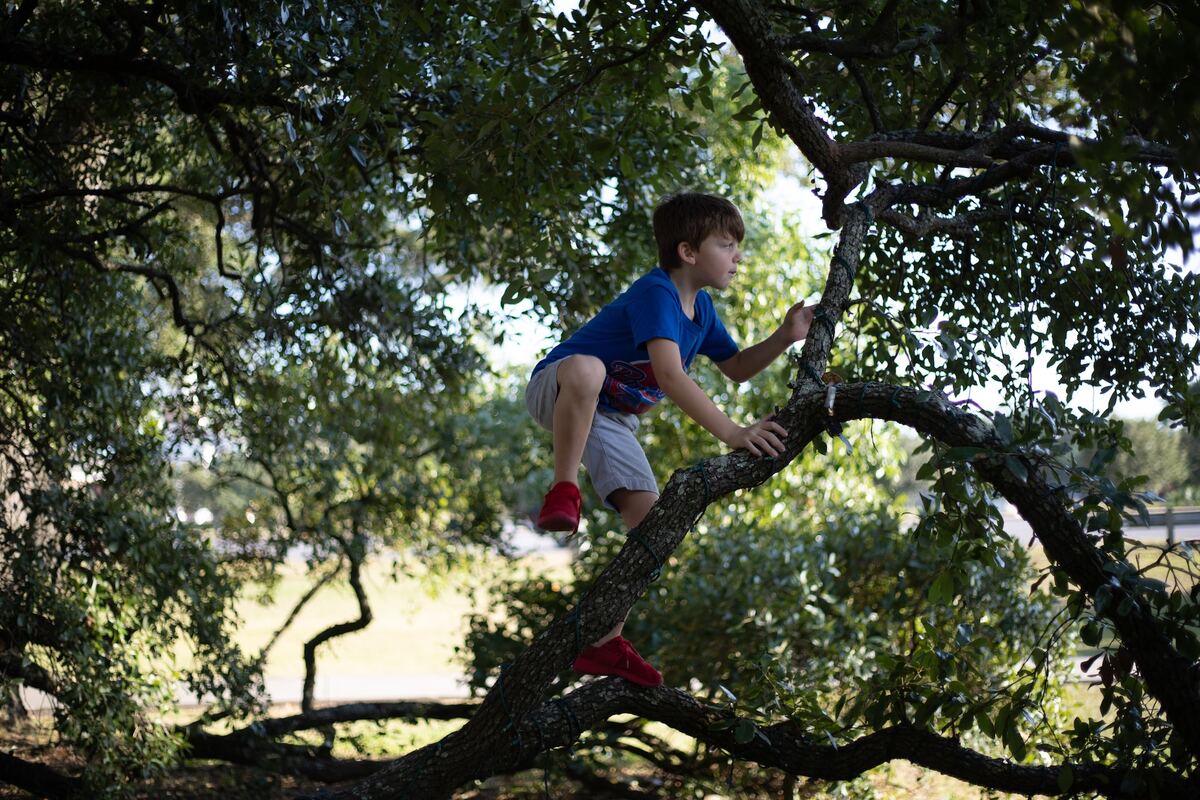 ADHD - che cos'è, cause, sintomi, diagnosi e trattamento