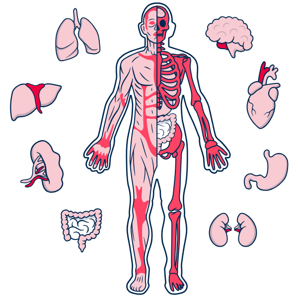 Longevity Map UltraScan 360 - scansione completa di cervello e corpo