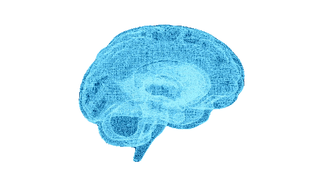 Cervello 3D - scansione BrainMap