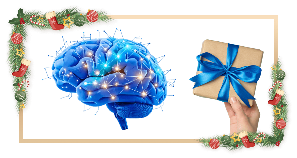 Ofertă specială de Sărbători BrainMap CADOU