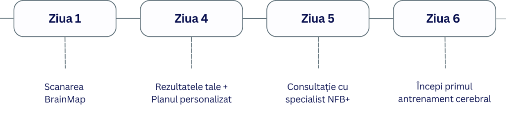 Timeline Brainmap