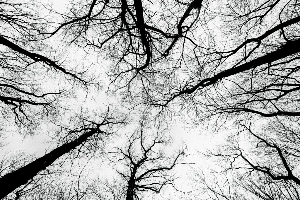 Il sistema nervoso simpatico e parasimpatico: come gestire lo stress