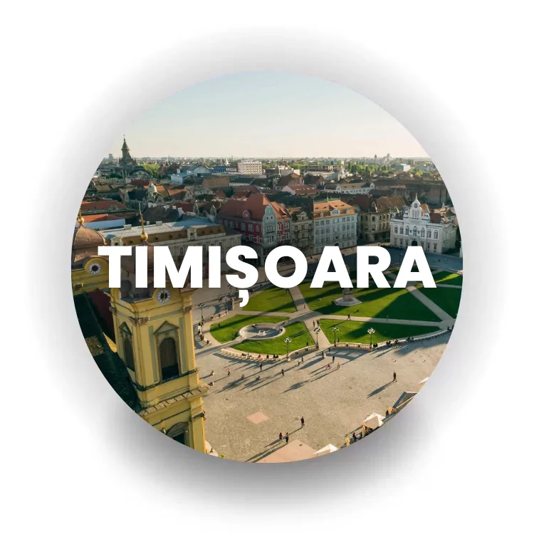 Istituto BrainMap Timișoara
