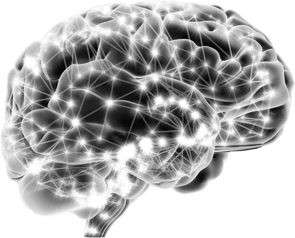 Mappa cerebrale BrainMap