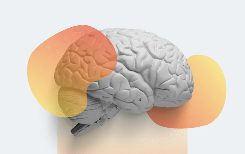 I benefici di un'analisi dettagliata del cervello