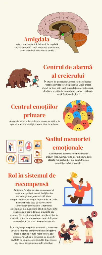 Infografica sull'amigdala