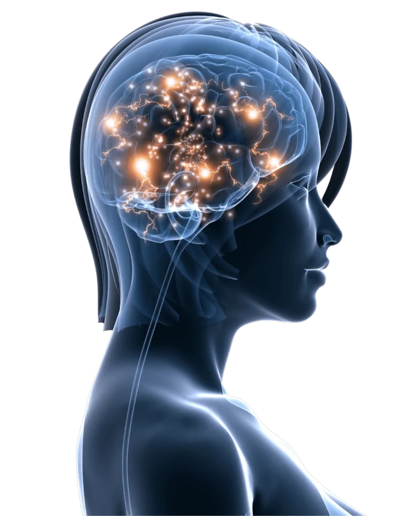 Harta activității cerebrale BrainMap