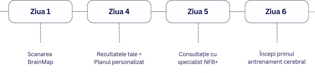 Brainmap Timeline